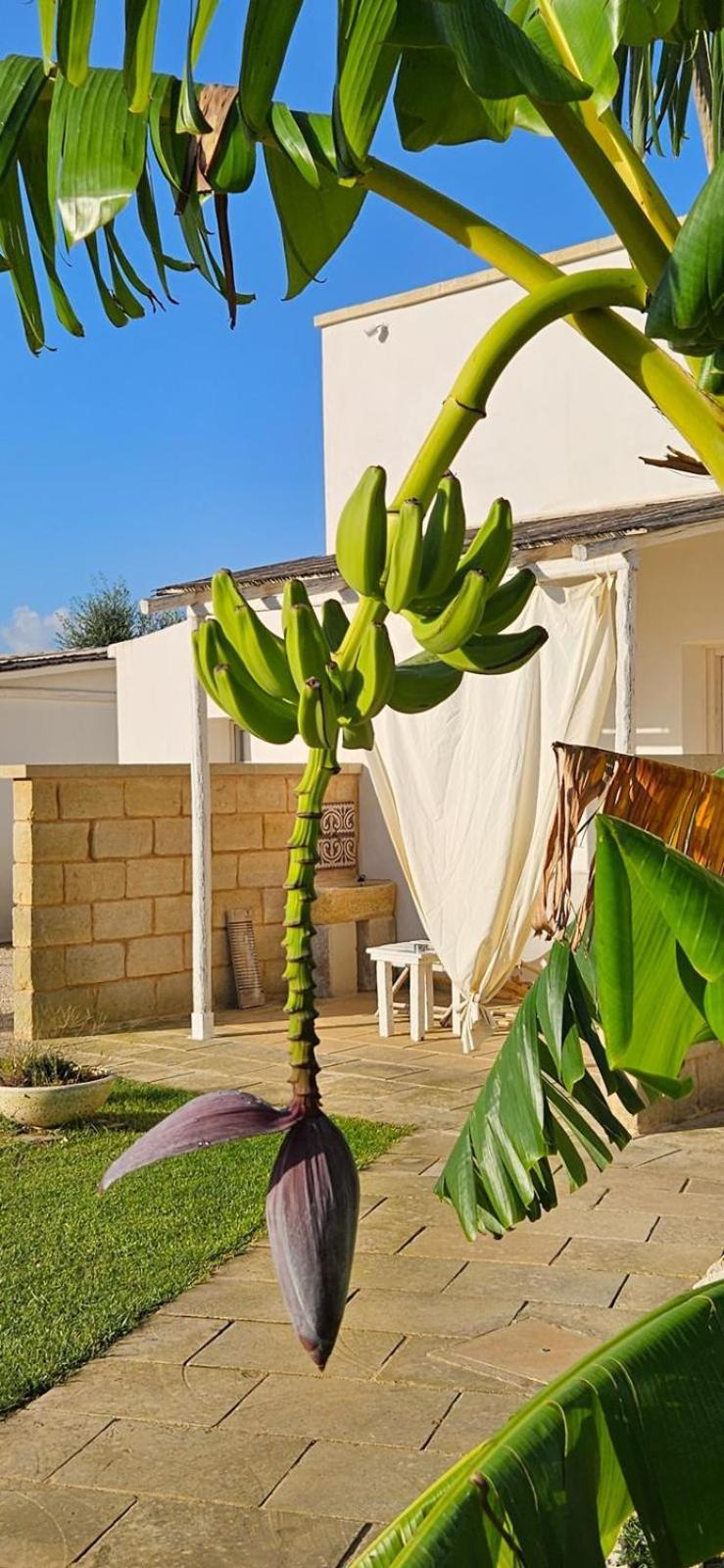 Tenuta Puloni Otranto Eksteriør billede